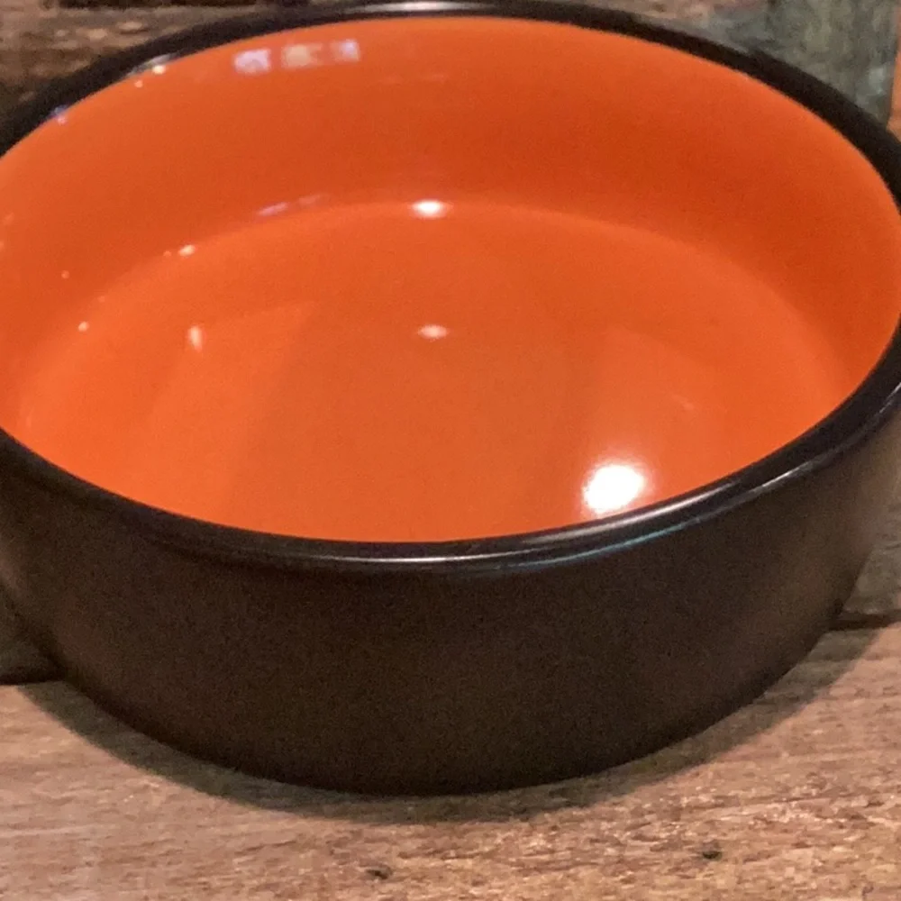 Rae Dunn WICKED CUTE Halloween Pet Bowl